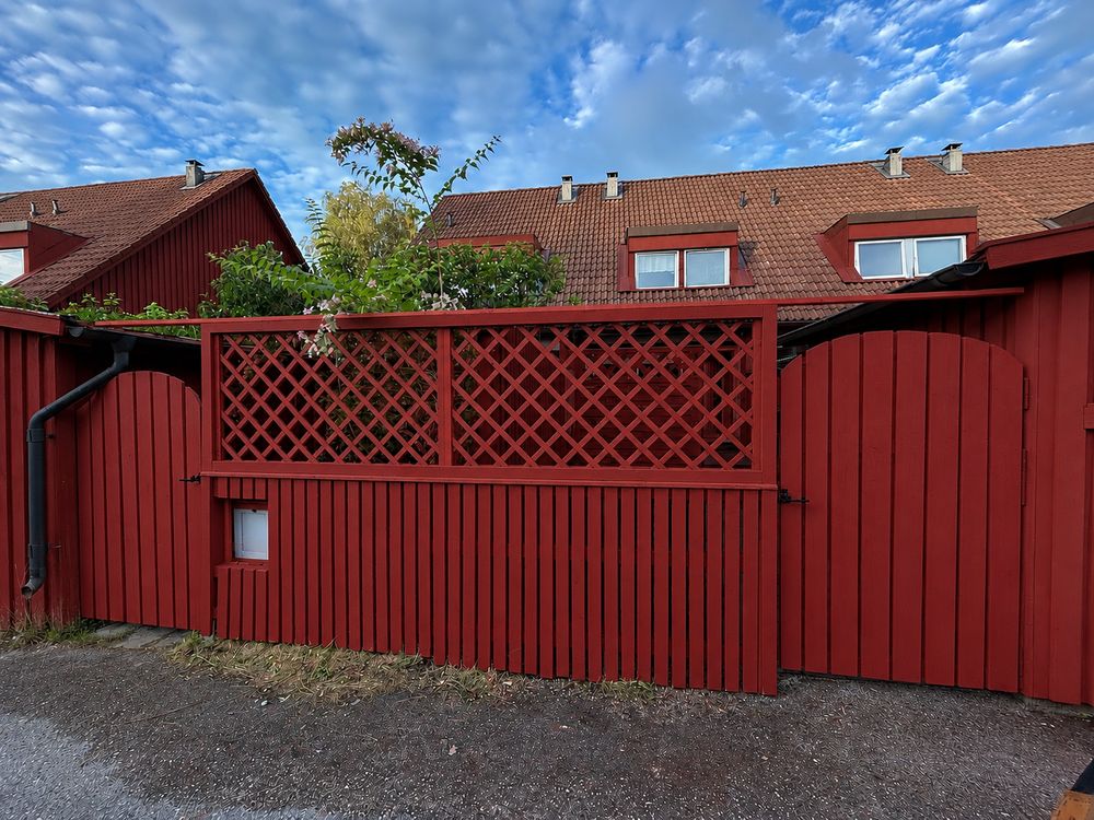 Nymålat staket med spaljé